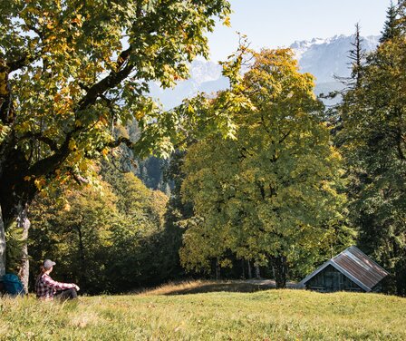 Herbstwanderung auf den Eckbauer | © GaPa Tourismus GmbH/Roadtrip the World