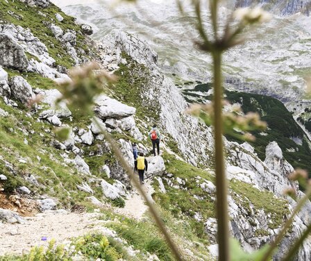 Wanderung in den Alpen beim AlpenTestival 2023 | © GaPa Tourismus GmbH/ fendstudios.com