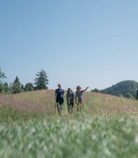 Blick auf eine Wandergruppe bei einer Heilklimatischen Wanderung durch Garmisch-Partenkirchen | © GaPa Tourismus GmbH/ Alexaner Djodat Photography