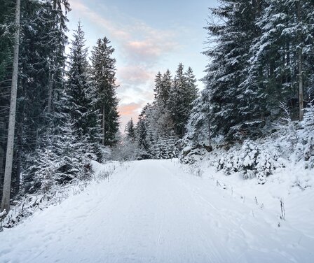 Höhenweg im Winter | © GaPa Tourismus GmbH