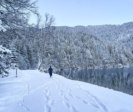 Trailrunning am Eibsee im Winter | © GaPa Tourismus GmbH