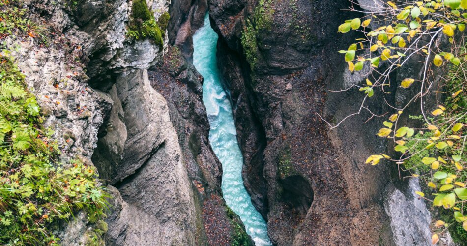 Blick von oben auf die Partnachklamm herunter | © northabroad.com