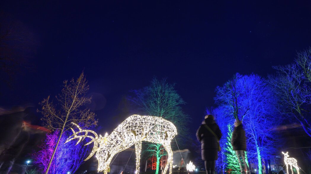 Blick auf Winter im Park Lichtinstallationen | © GaPa Tourismus GmbH