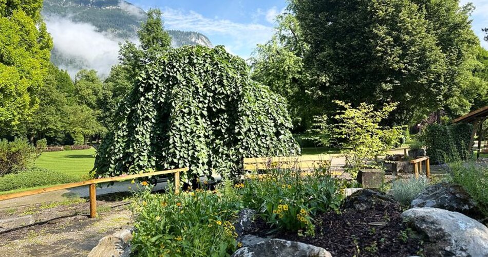 Blick auf den neu gestalteten Kräutergarten im Michael-Ende-Kurpark in Garmisch-Partenkirchen | © GaPa Tourismus GmbH