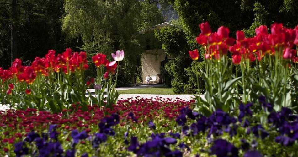 Blick auf Blumen im Michael-Ende-Kurpark in Garmisch-Partenkirchen | © Markt Garmisch-Partenkirchen