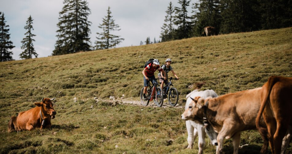 Mountainbiken in GaPa | © ©ZABT/Thomas Marzusch