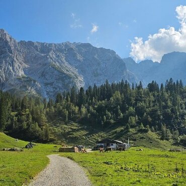 Blick auf die Wettersteinalm mit Panorama im Hintergrund | © GaPa Tourismus GmbH